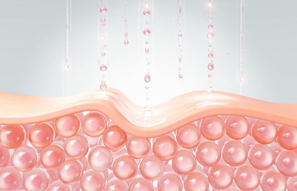 Illustration of skin layers with a close-up of the dermis