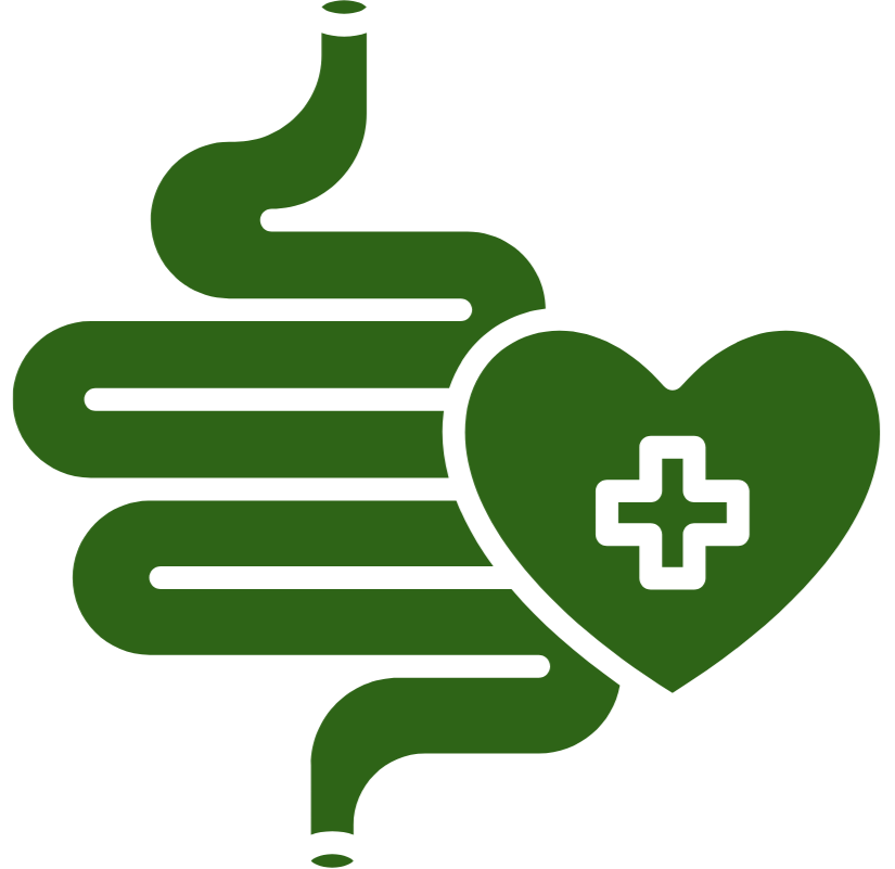 Green icon of a stomach with a heart containing a cross symbol on a white background