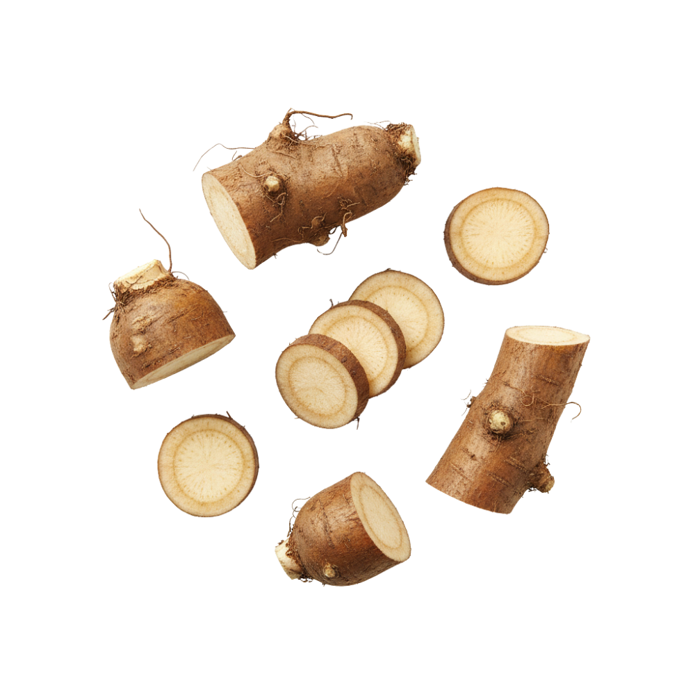 Raw burdhock roots on a white background