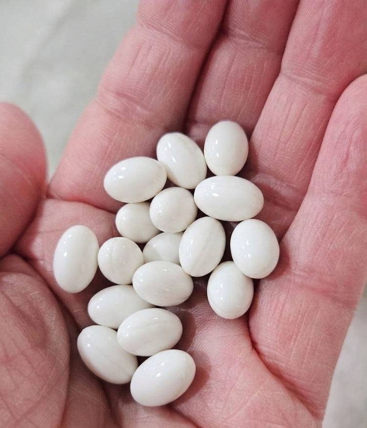 Hand holding a small pile of white beans