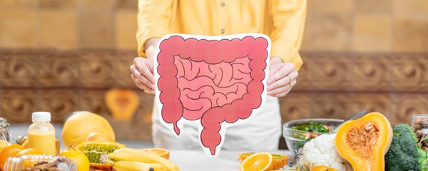 Person holding (intestinal tract) diagram with fruits and vegetables on a table.