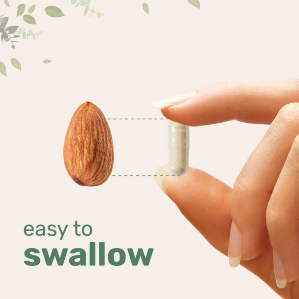 Hand holding a pill next to an almond with text 'easy to swallow' on a light background