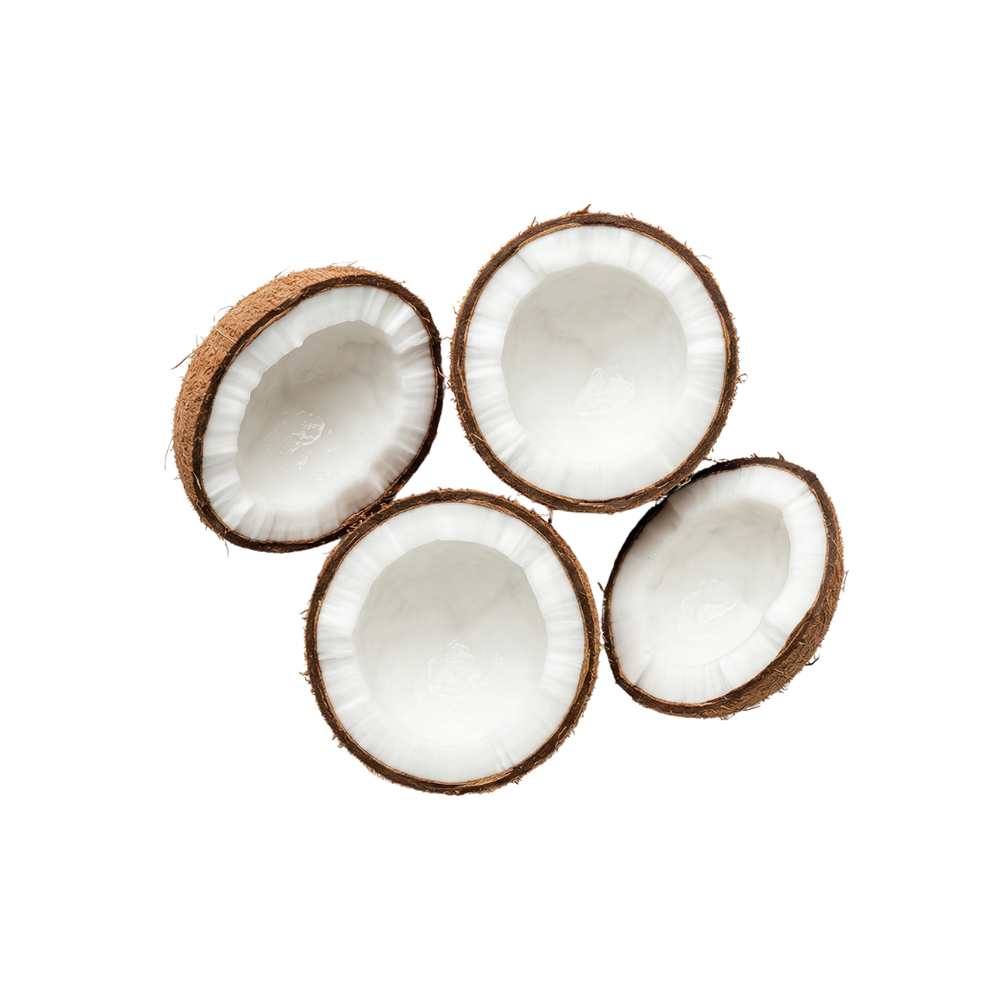 Four coconut halves on a white background