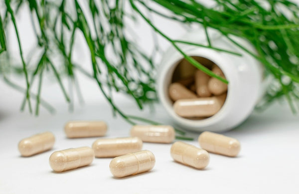 Capsules spilling out of a white container with green leaves in the background