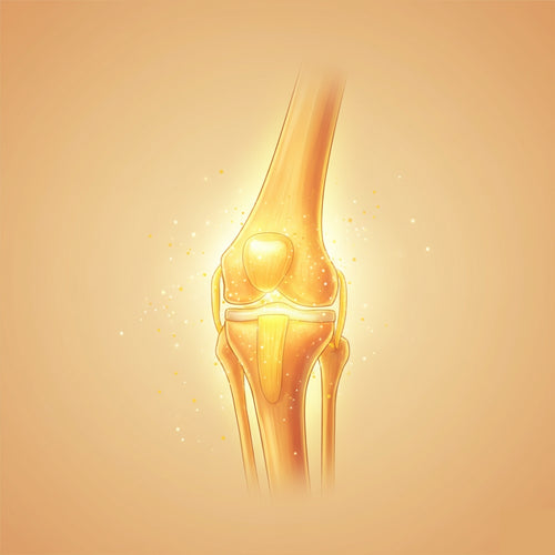 Illustration of a knee joint on a beige background